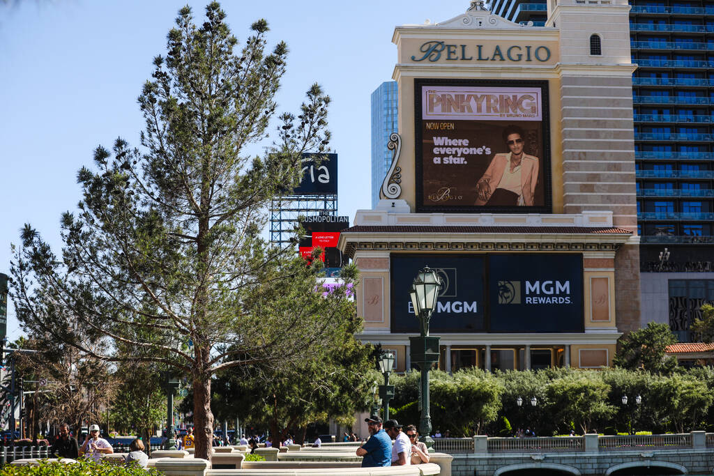 Árvores em frente ao hotel-cassino Bellagio na Strip de Las Vegas, quinta-feira, 11 de abril de 2024...